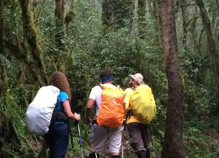 Mount Kilimanjaro Trek (Machame Route)