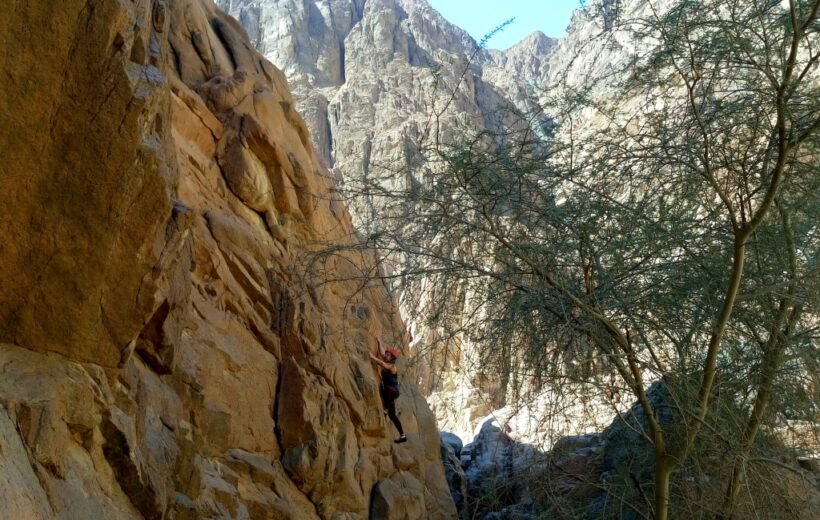 Rock Climbing: Vertical Limits